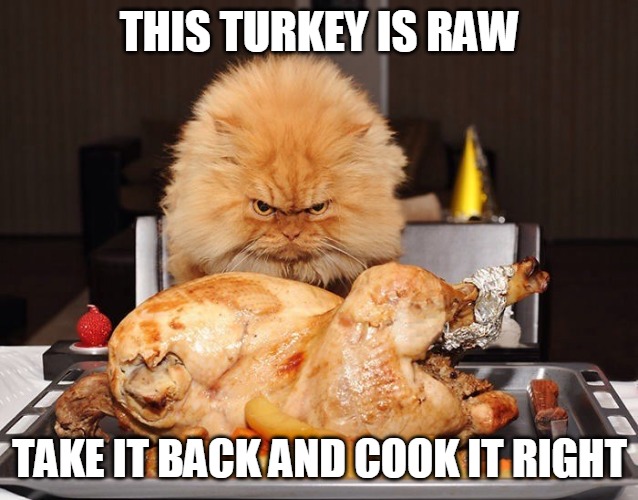 THIS TURKEY IS RAW; TAKE IT BACK AND COOK IT RIGHT | image tagged in memes,cat,cats,turkey,Catmemes | made w/ Imgflip meme maker
