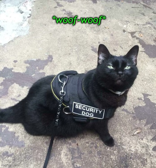 P-u-r-r-tect and Serve | *woof-woof* | image tagged in funny memes,funny cat memes | made w/ Imgflip meme maker