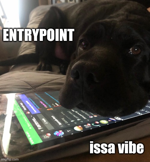 Vibes | ENTRYPOINT; issa vibe | image tagged in discord,vibes,good times,tribe,server | made w/ Imgflip meme maker