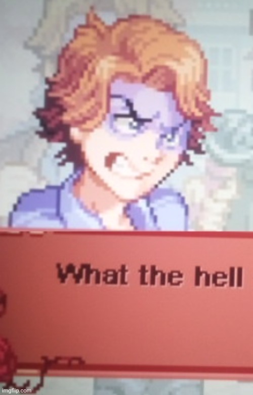 What the hell | image tagged in what the hell | made w/ Imgflip meme maker