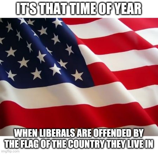 I GUESS THAT WOULD BE ALL YEAR LONG FOR THEM | IT'S THAT TIME OF YEAR; WHEN LIBERALS ARE OFFENDED BY THE FLAG OF THE COUNTRY THEY LIVE IN | image tagged in american flag,liberals,liberal logic,usa,4th of july | made w/ Imgflip meme maker