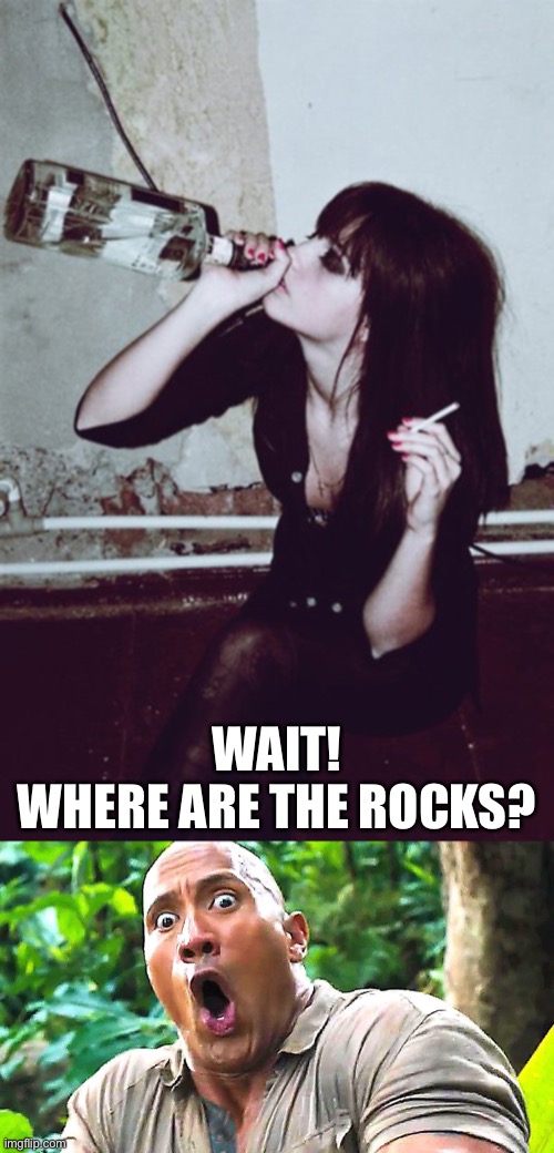 WAIT!
WHERE ARE THE ROCKS? | made w/ Imgflip meme maker