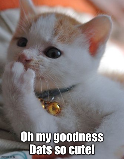 Oh my goodness Dats so cute! | made w/ Imgflip meme maker