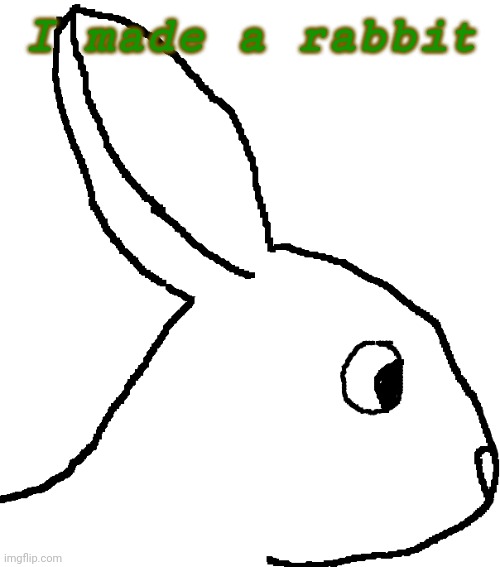 I made a rabbit | made w/ Imgflip meme maker