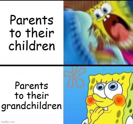 spongebob yelling | Parents to their children; Parents to their grandchildren | image tagged in spongebob yelling | made w/ Imgflip meme maker