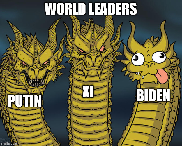 Three-headed Dragon | WORLD LEADERS; XI; BIDEN; PUTIN | image tagged in three-headed dragon,memes,vladimir putin,xi jinping,joe biden,first world problems | made w/ Imgflip meme maker