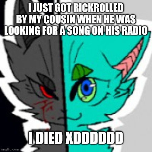 Why just why XDDDDD | I JUST GOT RICKROLLED BY MY COUSIN WHEN HE WAS LOOKING FOR A SONG ON HIS RADIO; I DIED XDDDDDD | image tagged in retrofurry announcement template,furry,funny | made w/ Imgflip meme maker