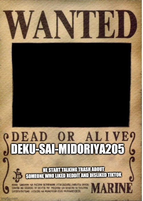 Just gonna leave this here | DEKU-SAI-MIDORIYA205; HE START TALKING TRASH ABOUT SOMEONE WHO LIKED REDDIT AND DISLIKED TIKTOK | image tagged in one piece wanted poster template | made w/ Imgflip meme maker