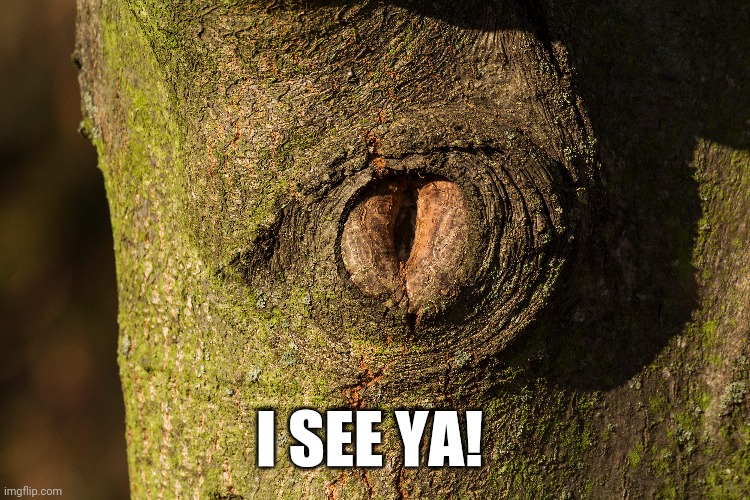 I SEE YA! | made w/ Imgflip meme maker