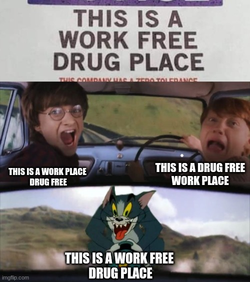 THIS IS A DRUG FREE
WORK PLACE; THIS IS A WORK PLACE 
DRUG FREE; THIS IS A WORK FREE 
DRUG PLACE | image tagged in tom chasing harry and ron weasly | made w/ Imgflip meme maker