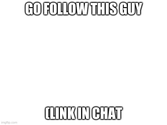 pls do it he new | GO FOLLOW THIS GUY; (LINK IN CHAT | image tagged in blank white template | made w/ Imgflip meme maker