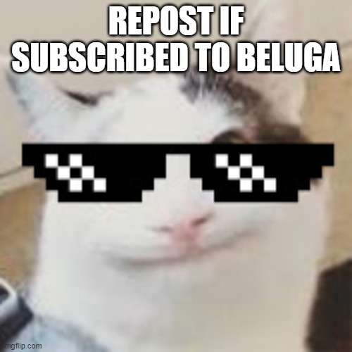 REPOST IF SUBSCRIBED TO BELUGA | made w/ Imgflip meme maker