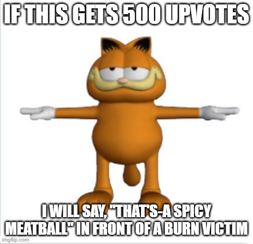 garfield t-pose | IF THIS GETS 500 UPVOTES; I WILL SAY, "THAT'S-A SPICY MEATBALL" IN FRONT OF A BURN VICTIM | image tagged in garfield t-pose | made w/ Imgflip meme maker