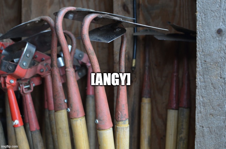 Hoes | [ANGY] | image tagged in hoes | made w/ Imgflip meme maker