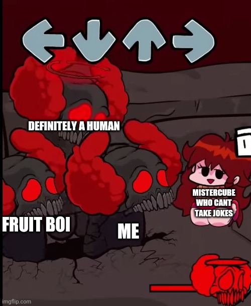 DEFINITELY A HUMAN; MISTERCUBE WHO CANT TAKE JOKES; FRUIT BOI; ME | made w/ Imgflip meme maker