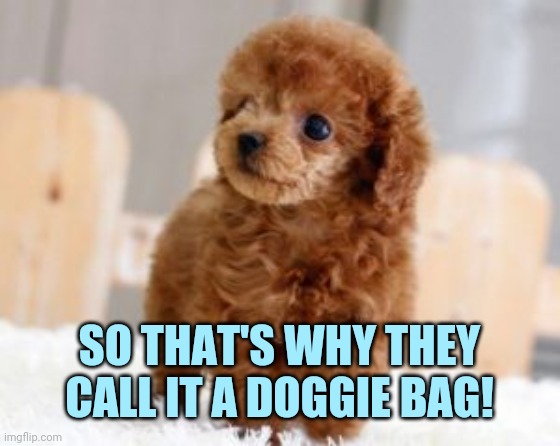 I get it | SO THAT'S WHY THEY CALL IT A DOGGIE BAG! | image tagged in i get it | made w/ Imgflip meme maker