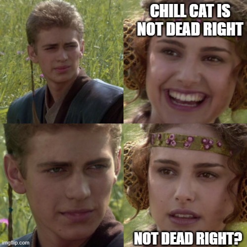 For the better right blank | CHILL CAT IS NOT DEAD RIGHT; NOT DEAD RIGHT? | image tagged in for the better right blank | made w/ Imgflip meme maker