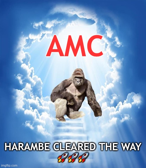 AMC APE MOON Harambe | AMC; HARAMBE CLEARED THE WAY
🚀🚀🚀 | image tagged in amc ape moon harambe | made w/ Imgflip meme maker