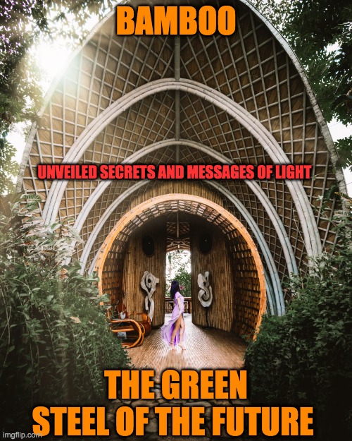  BAMBOO; UNVEILED SECRETS AND MESSAGES OF LIGHT; THE GREEN STEEL OF THE FUTURE | image tagged in nature | made w/ Imgflip meme maker