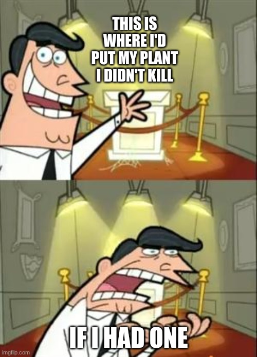 I only speak the sad, sad truth | THIS IS WHERE I'D PUT MY PLANT I DIDN'T KILL; IF I HAD ONE | image tagged in memes,this is where i'd put my trophy if i had one | made w/ Imgflip meme maker