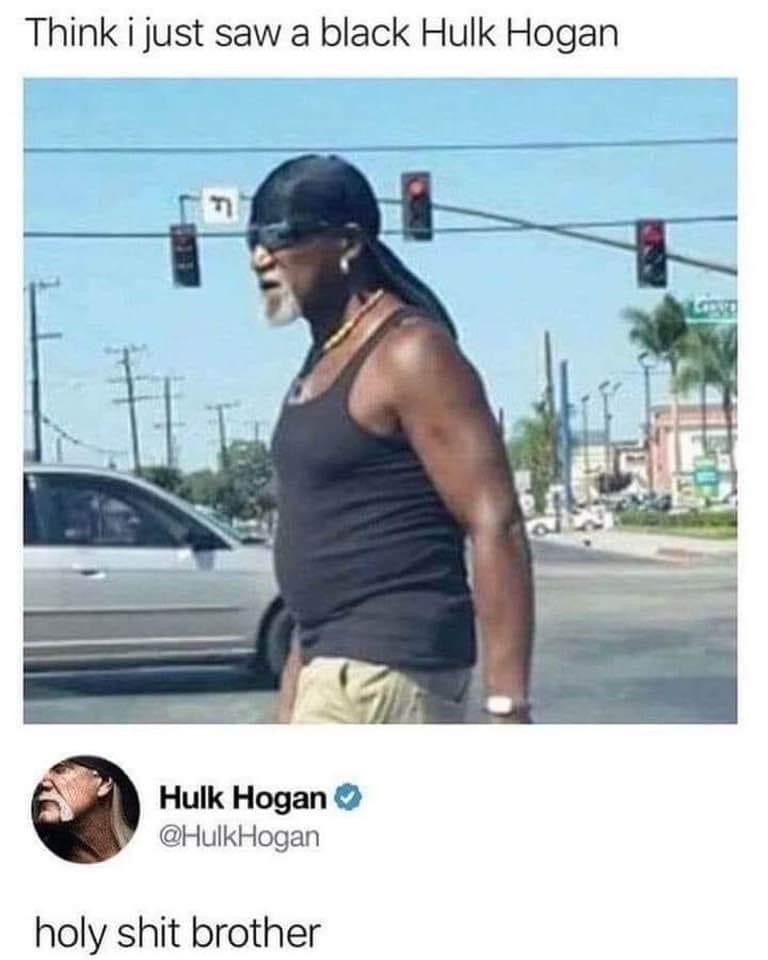 Black Hulk Hogan Blank Meme Template