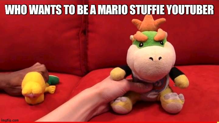 I have since late 2018 | WHO WANTS TO BE A MARIO STUFFIE YOUTUBER | image tagged in sml junior and joseph,mario stuffies | made w/ Imgflip meme maker