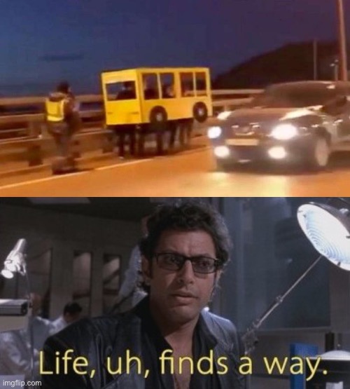 Life finds a way | image tagged in life finds a way | made w/ Imgflip meme maker