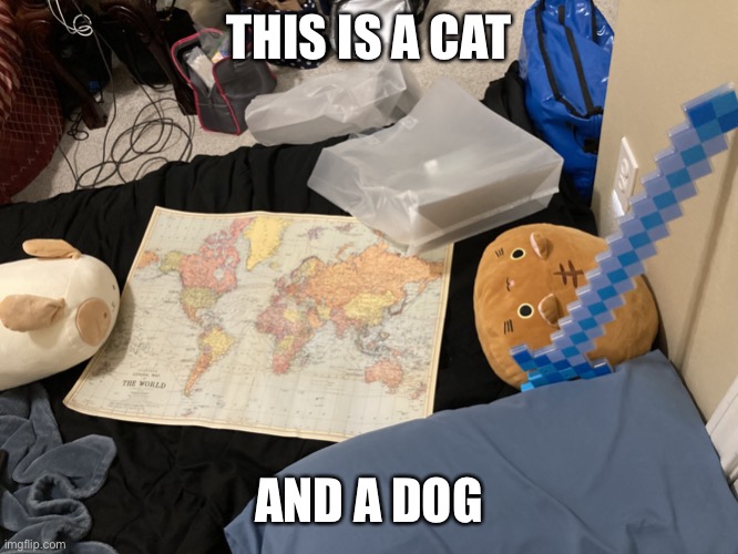 Map cat | THIS IS A CAT; AND A DOG | image tagged in meow | made w/ Imgflip meme maker