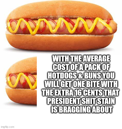 16 cents | WITH THE AVERAGE COST OF A PACK OF HOTDOGS & BUNS YOU WILL GET ONE BITE WITH THE EXTRA 16 CENTS THAT 
PRESIDENT SHIT STAIN
 IS BRAGGING ABOUT | image tagged in biden | made w/ Imgflip meme maker