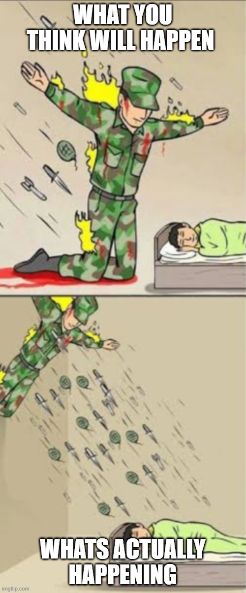 WHAT YOU THINK WILL HAPPEN WHATS ACTUALLY HAPPENING | image tagged in soldier protecting vs soldier attacking | made w/ Imgflip meme maker