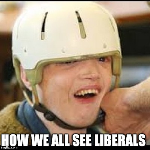 HOW WE ALL SEE LIBERALS | made w/ Imgflip meme maker