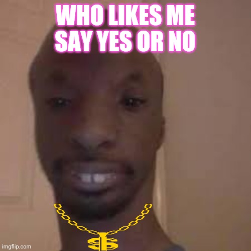 Jordan | WHO LIKES ME SAY YES OR NO | image tagged in jordan | made w/ Imgflip meme maker