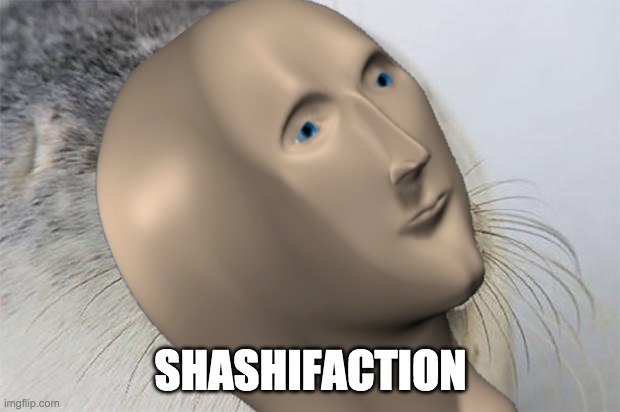 SHASHIFACTION | made w/ Imgflip meme maker