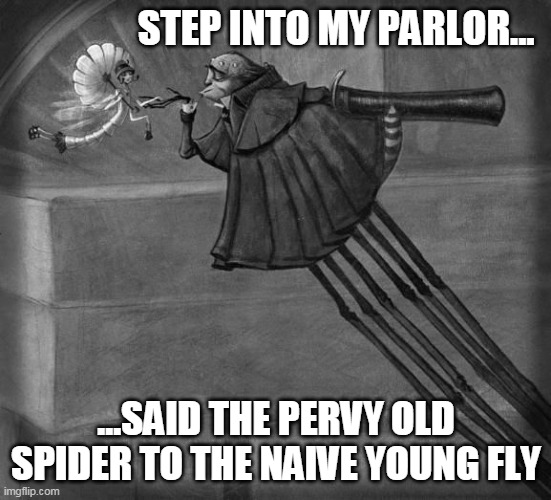 Spider and fly | STEP INTO MY PARLOR... ...SAID THE PERVY OLD SPIDER TO THE NAIVE YOUNG FLY | image tagged in spider,fly,old guy | made w/ Imgflip meme maker