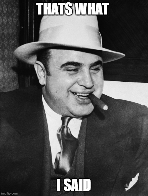 Al Capone | THATS WHAT I SAID | image tagged in al capone | made w/ Imgflip meme maker