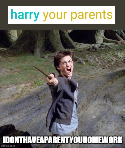 Harry potter has a parent? |  IDONTHAVEAPARENTYOUHOMEWORK | image tagged in harry potter,parents,homework | made w/ Imgflip meme maker
