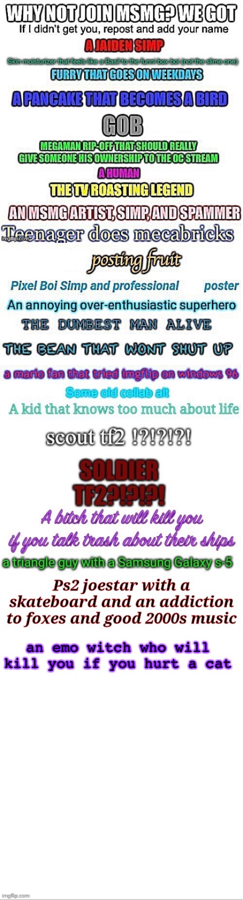 yEeEeEeEeEeEeE | an emo witch who will kill you if you hurt a cat | made w/ Imgflip meme maker