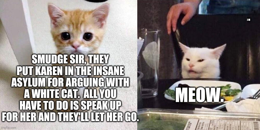 J M; SMUDGE SIR, THEY PUT KAREN IN THE INSANE ASYLUM FOR ARGUING WITH A WHITE CAT.  ALL YOU HAVE TO DO IS SPEAK UP FOR HER AND THEY'LL LET HER GO. MEOW. | image tagged in woman yelling at smudge the cat | made w/ Imgflip meme maker