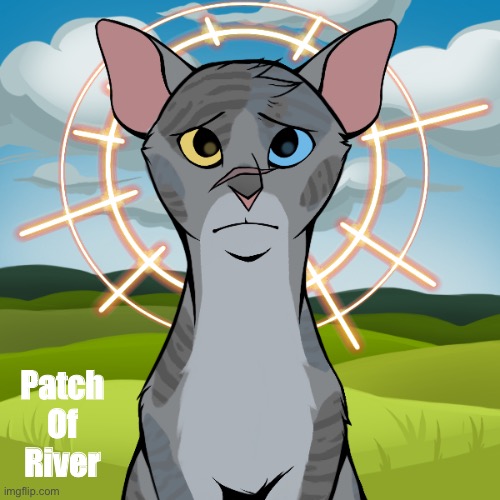 Patch Of River | made w/ Imgflip meme maker