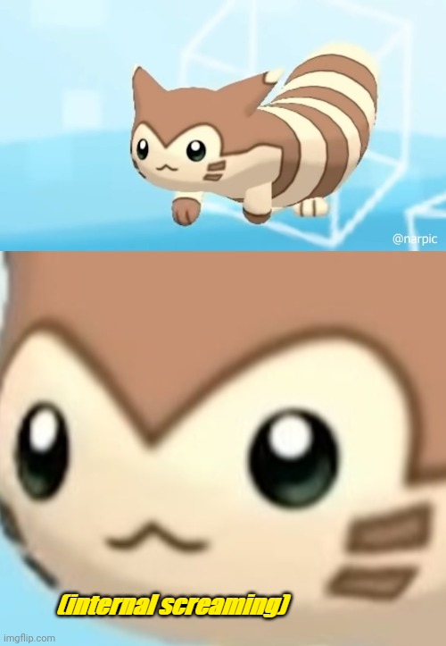 Furret scream | image tagged in furret scream | made w/ Imgflip meme maker