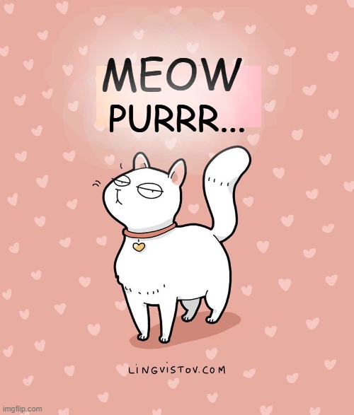 MEOW PURRR... | made w/ Imgflip meme maker