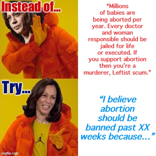 Mod note: Example of how to conform conservative commentary (topic: abortion) to comply with our rules. | “Millions of babies are being aborted per year. Every doctor and woman responsible should be jailed for life or executed. If you support abortion then you’re a murderer, Leftist scum.”; “I believe abortion should be banned past XX weeks because…” | image tagged in kamala harris hotline bling instead of try,abortion,abortion is murder,pro-life,pro-choice,mod note | made w/ Imgflip meme maker