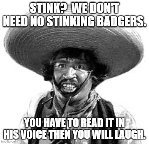 Badges we dont need no stinking badges | STINK?  WE DON'T NEED NO STINKING BADGERS. YOU HAVE TO READ IT IN HIS VOICE THEN YOU WILL LAUGH. | image tagged in badges we dont need no stinking badges | made w/ Imgflip meme maker
