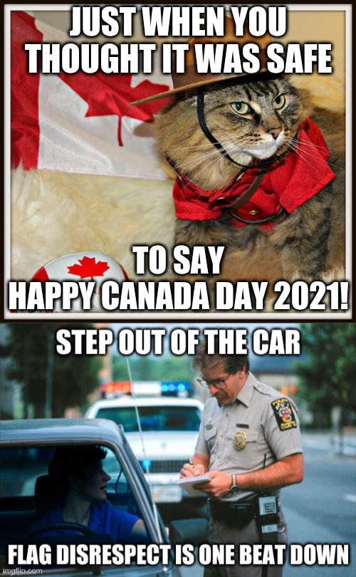 JUST WHEN YOU THOUGHT IT WAS SAFE; TO SAY
HAPPY CANADA DAY 2021! | image tagged in canada cat | made w/ Imgflip meme maker