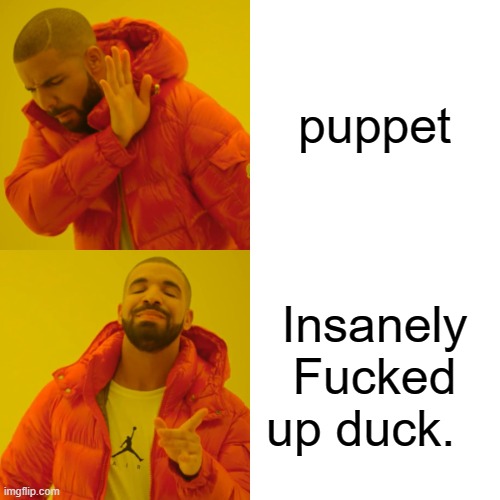 Drake Hotline Bling Meme | puppet Insanely Fucked up duck. | image tagged in memes,drake hotline bling | made w/ Imgflip meme maker