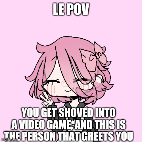 E | LE POV; YOU GET SHOVED INTO A VIDEO GAME, AND THIS IS THE PERSON THAT GREETS YOU | made w/ Imgflip meme maker