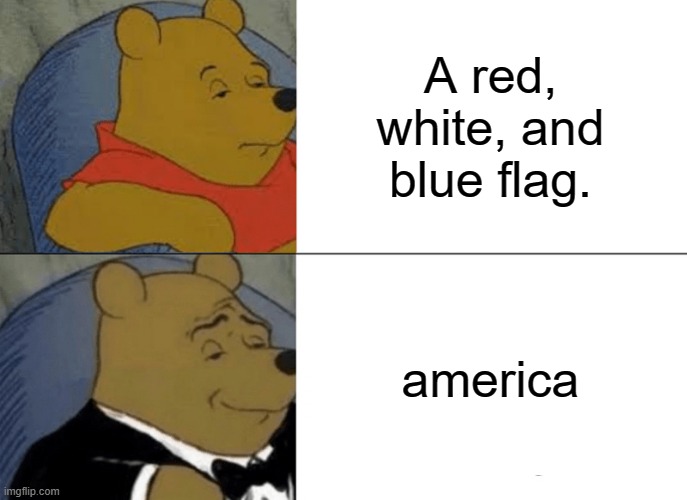 Tuxedo Winnie The Pooh | A red, white, and blue flag. america | image tagged in memes,tuxedo winnie the pooh | made w/ Imgflip meme maker