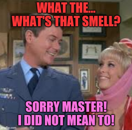 I dream of Jeannie | WHAT THE... WHAT'S THAT SMELL? SORRY MASTER! I DID NOT MEAN TO! | image tagged in i dream of jeannie | made w/ Imgflip meme maker
