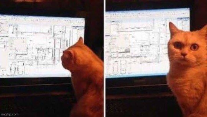 architect cat | image tagged in architect cat | made w/ Imgflip meme maker