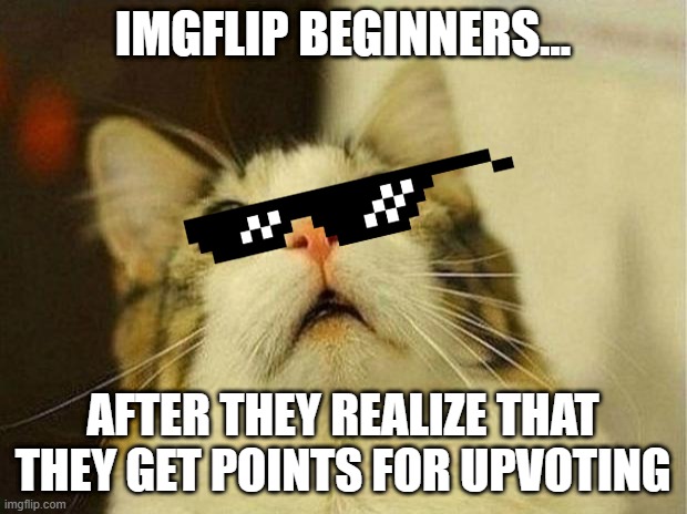 error 202 | IMGFLIP BEGINNERS... AFTER THEY REALIZE THAT THEY GET POINTS FOR UPVOTING | image tagged in memes,suprized cat | made w/ Imgflip meme maker